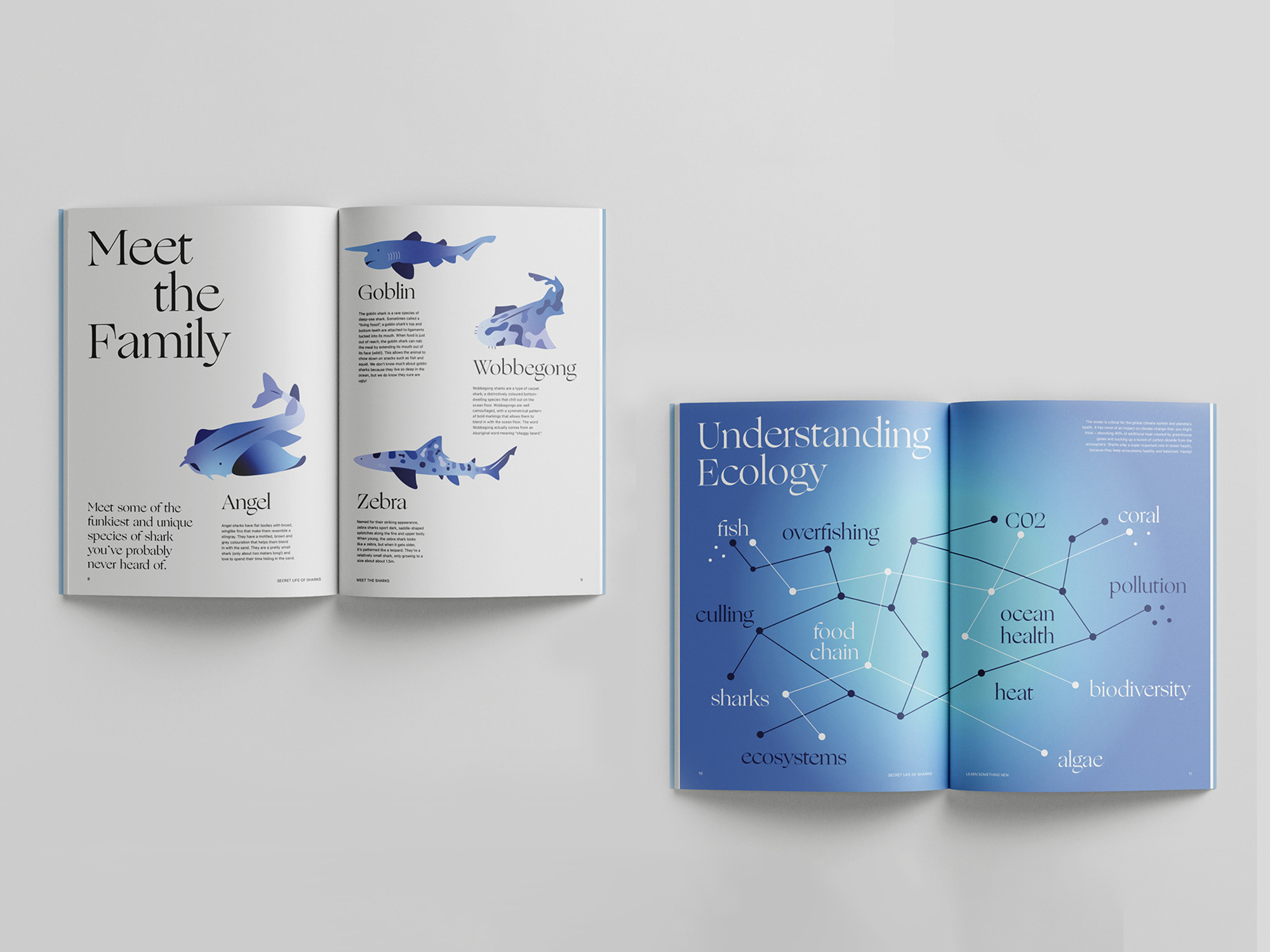 Secret Life of Sharks publication spread