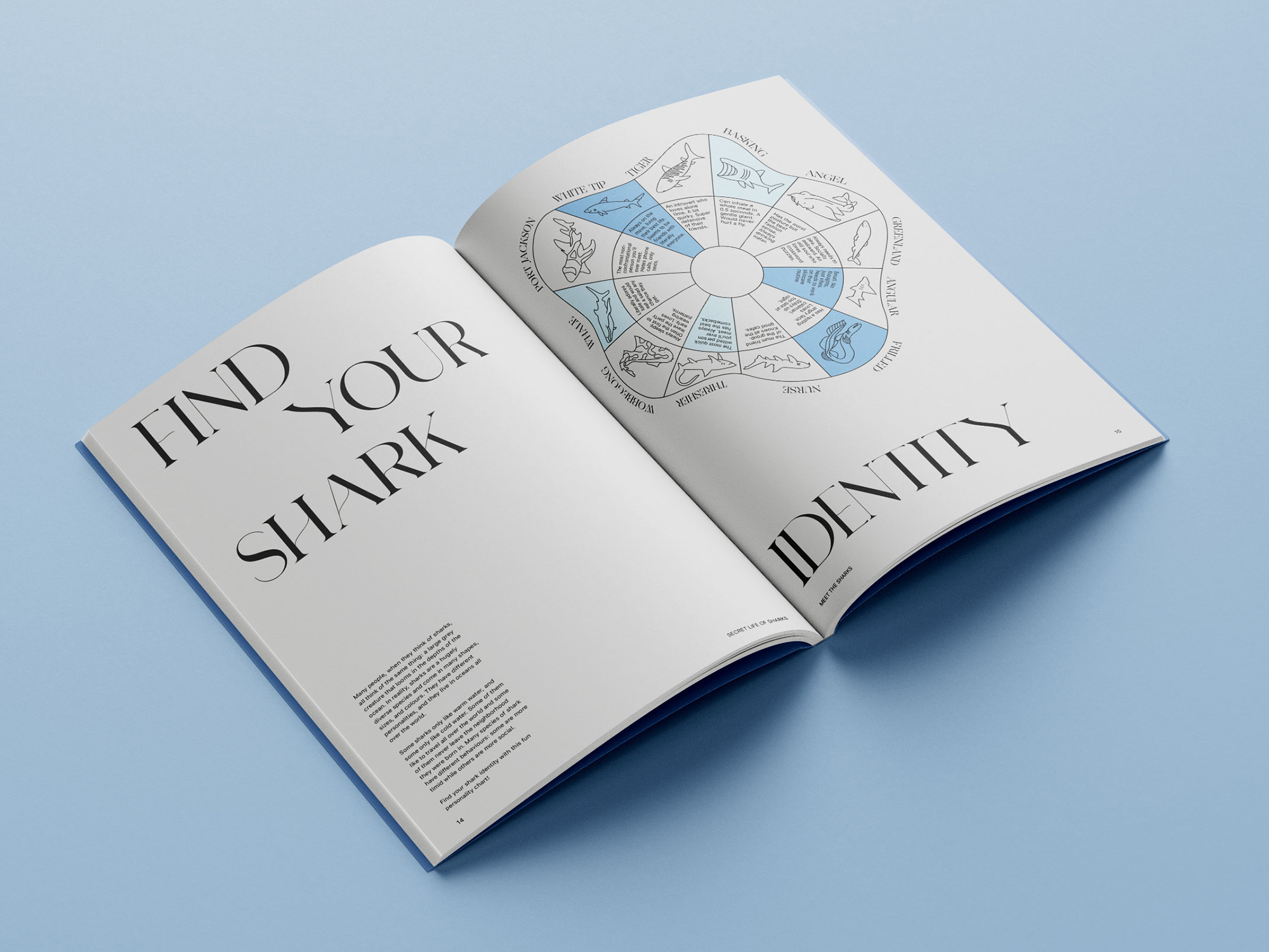 Secret Life of Sharks editorial design detail