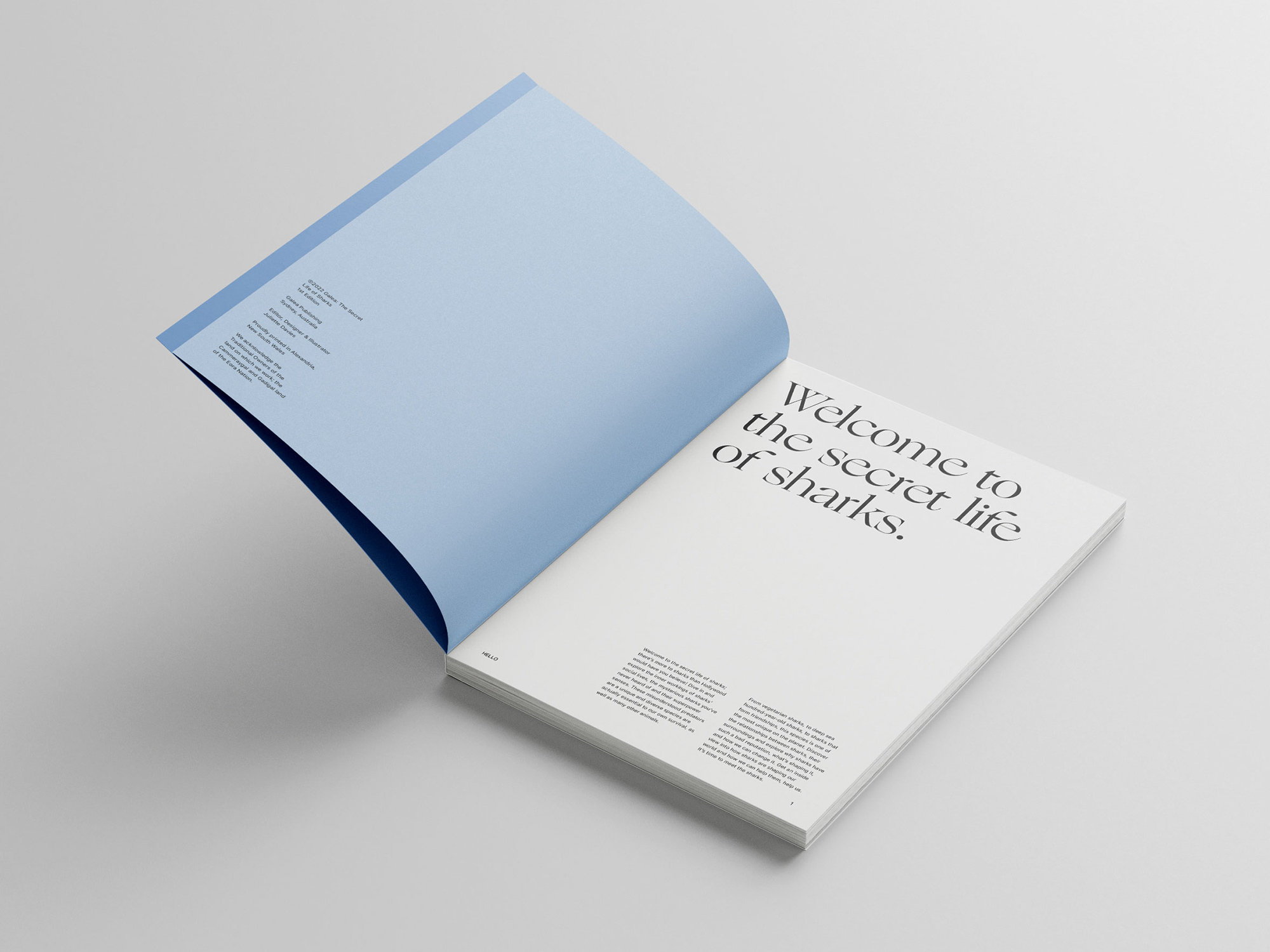 Secret Life of Sharks illustrated publication spread
