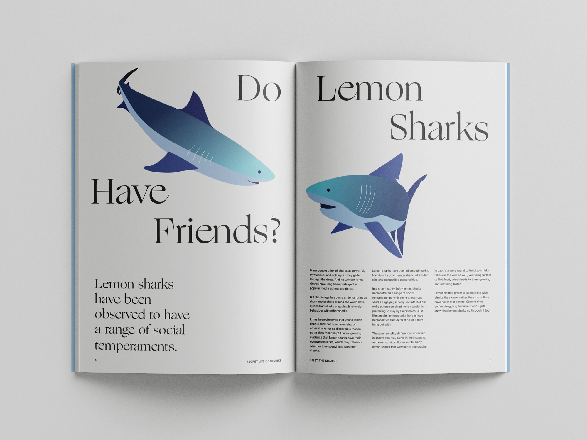 Secret Life of Sharks promotional design
