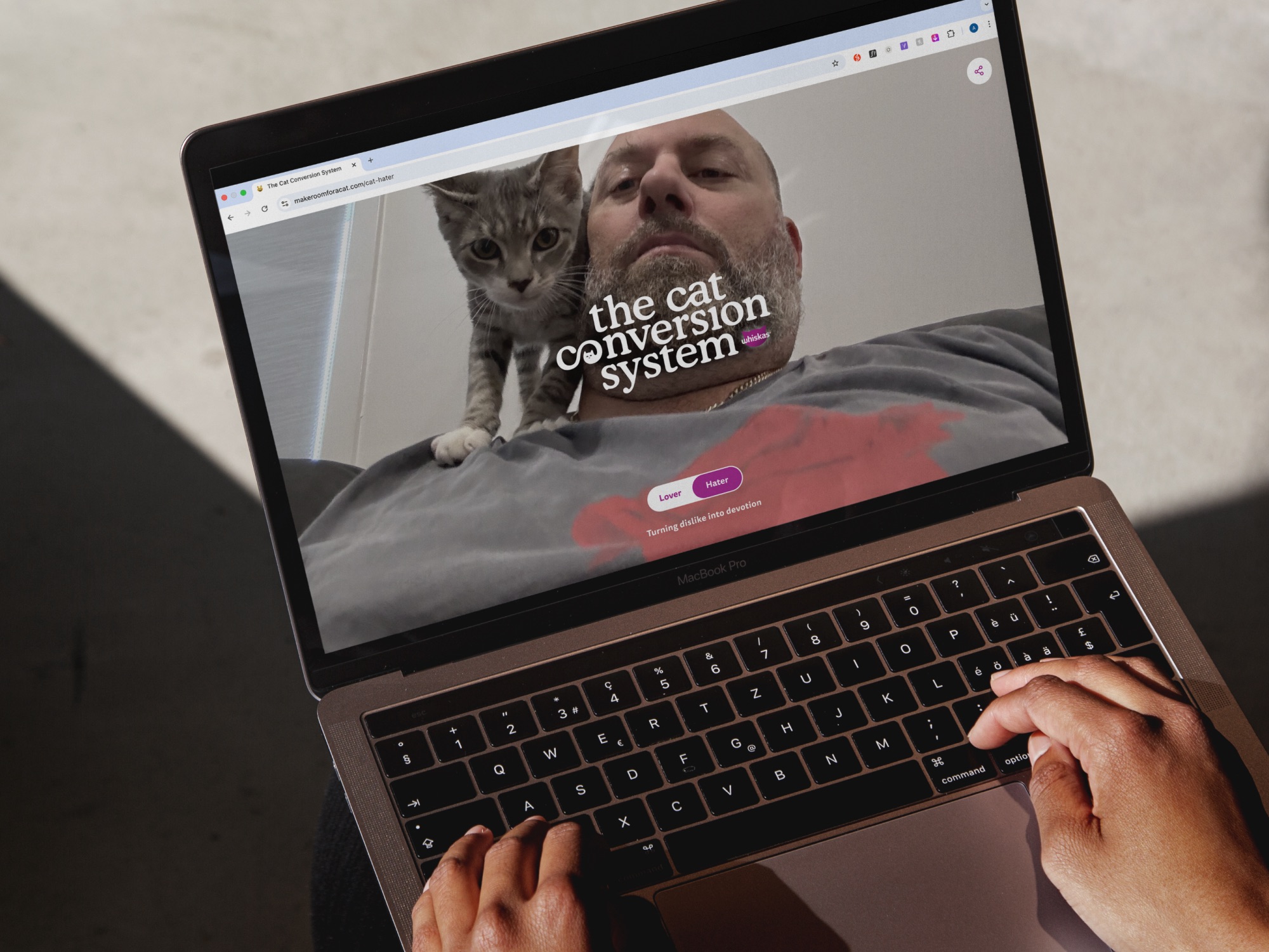 Whiskas campaign street poster design