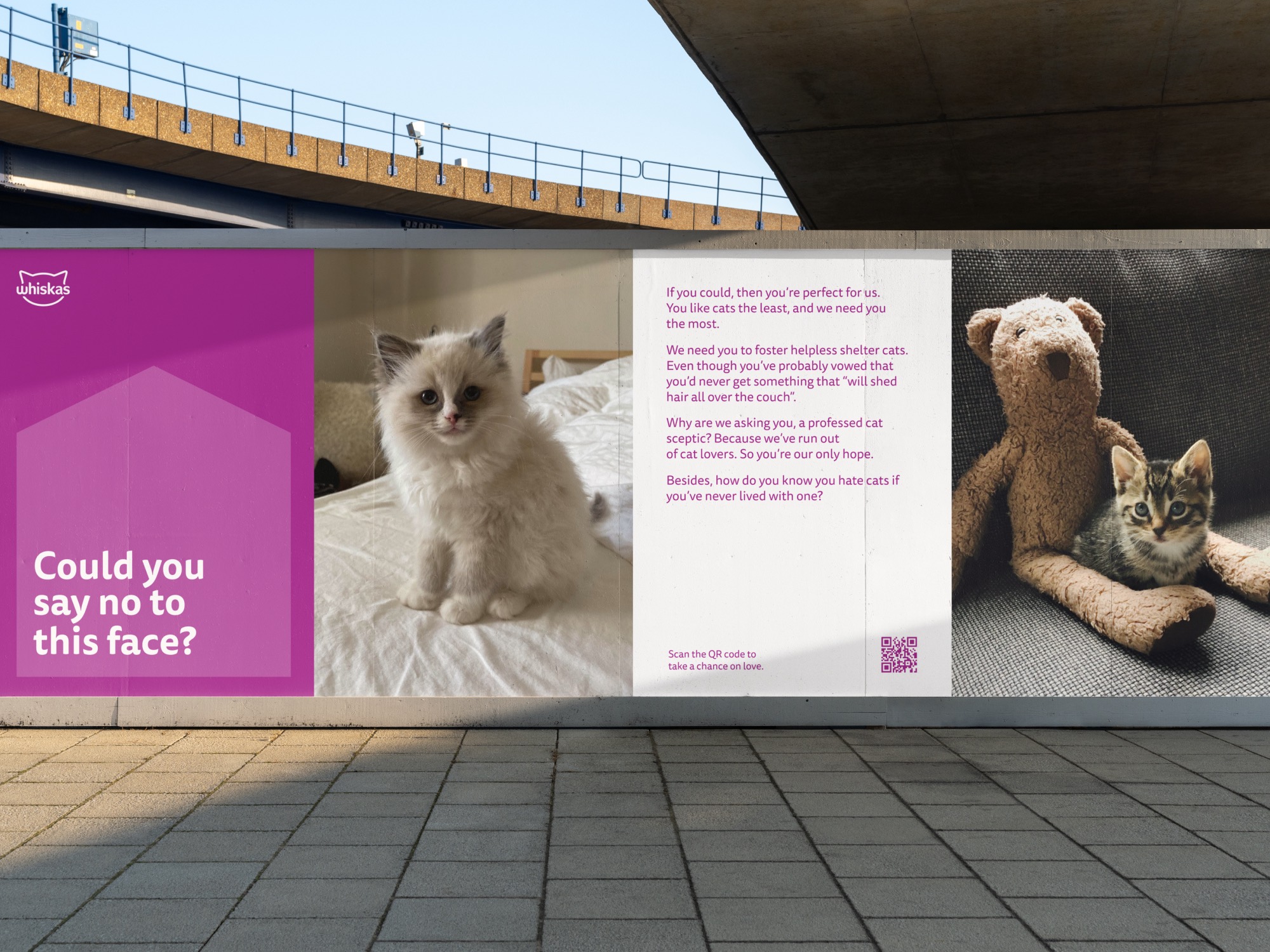 Whiskas campaign EDM design